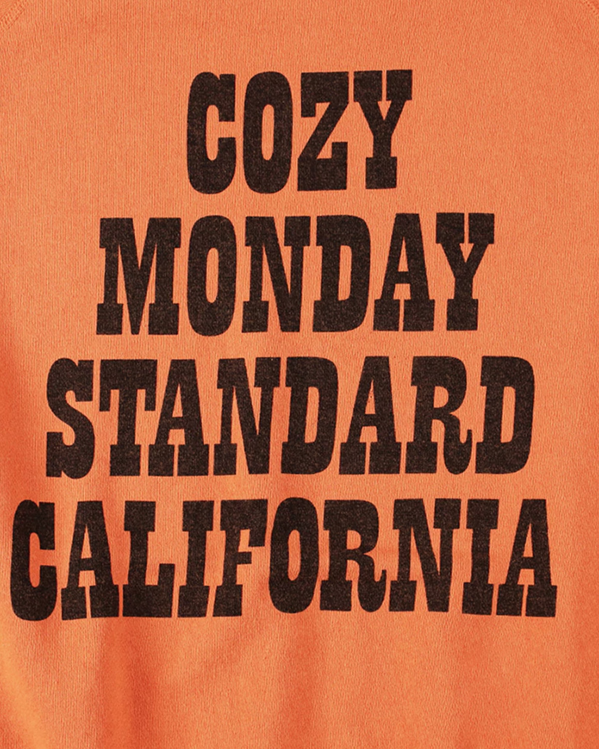 STANDARD CALIFORNIA × SNOOPY / Cozy Monday Crew Sweat (2000000394732)