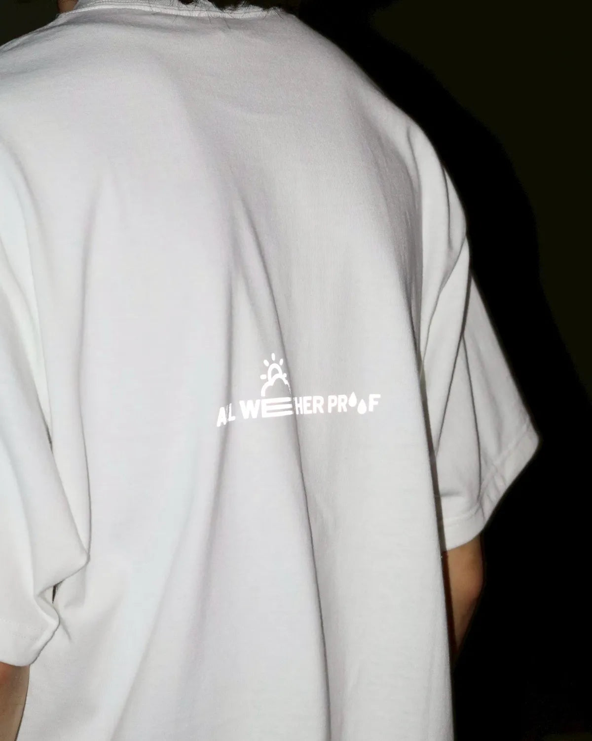 ALWAYTH / Alwayth "T2" (ALW25D1-011)