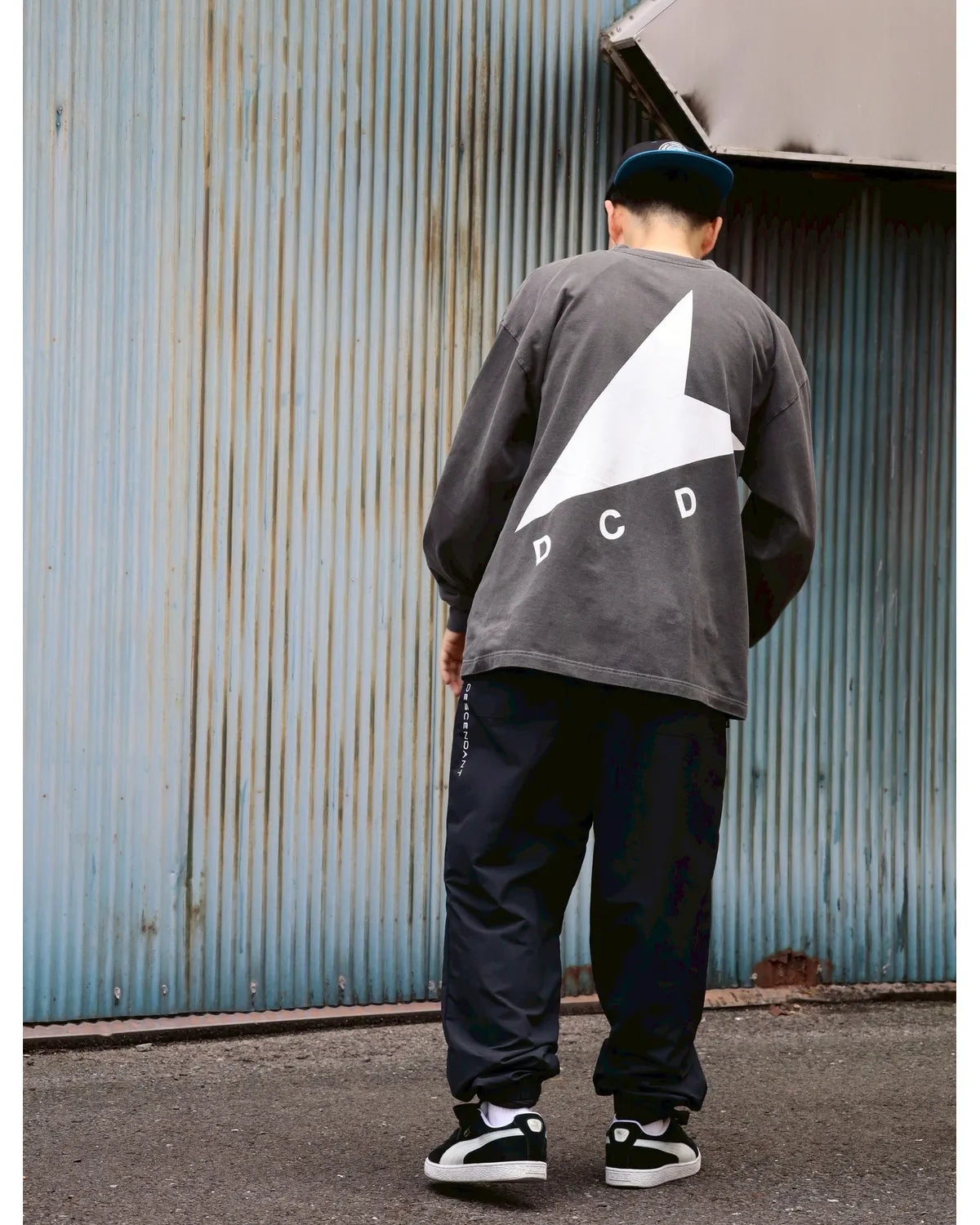 DESCENDANT / CETUS ORGANIC COTTON LS PIGMENT DYE (252ATDS-CSM17)