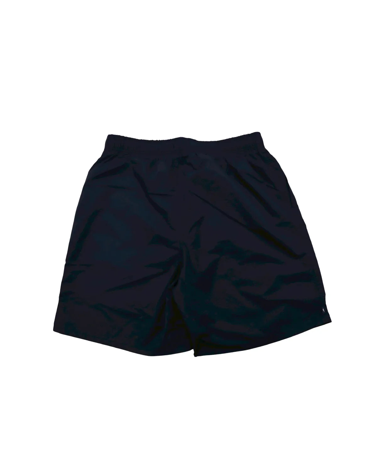 DESCENDANT / TIDE BEACH SHORTS (251CPDS-PTM06)