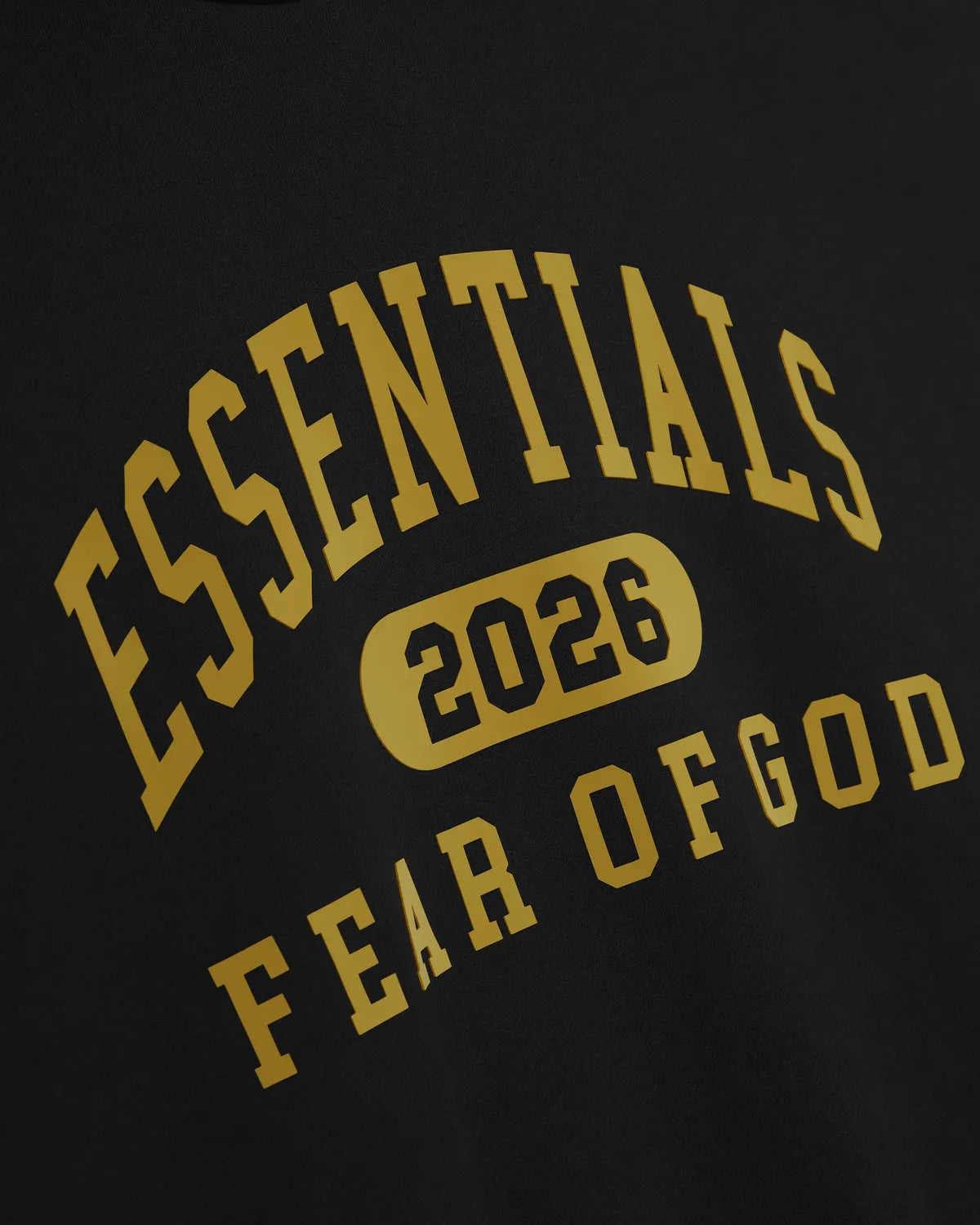 ESSENTIALS / Classic Fleece Hoodie (192HO256861F)