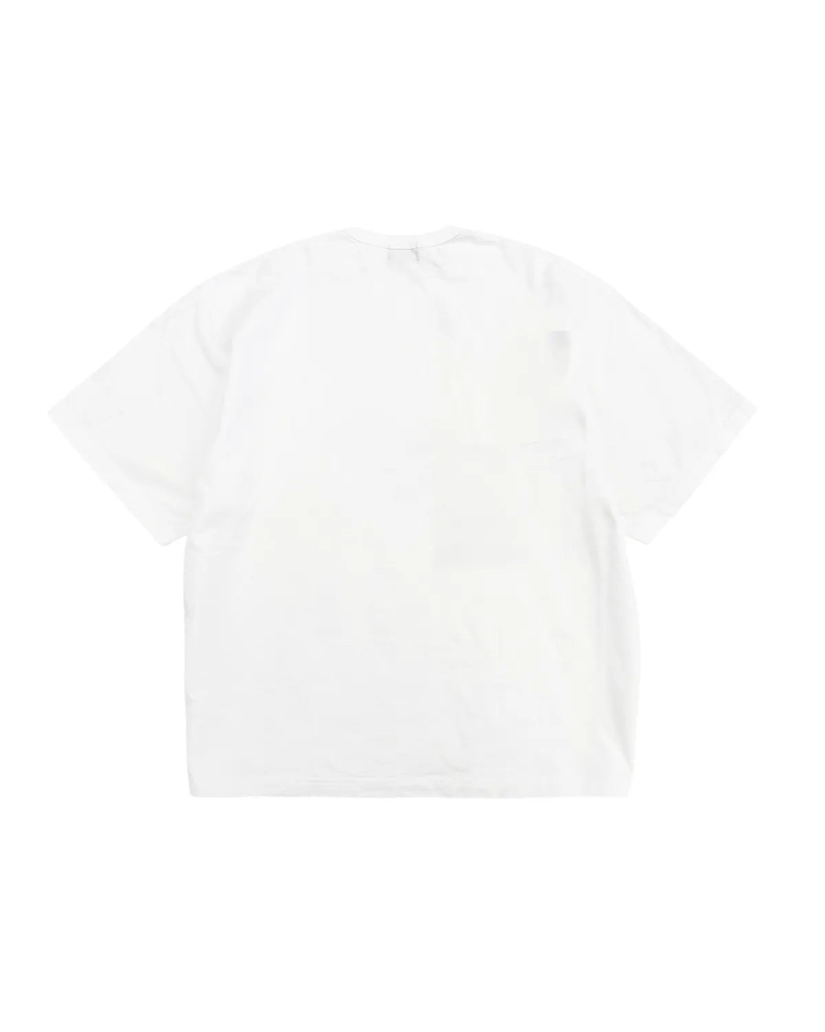 kolor / S/S SHIRT (25WMT05204)