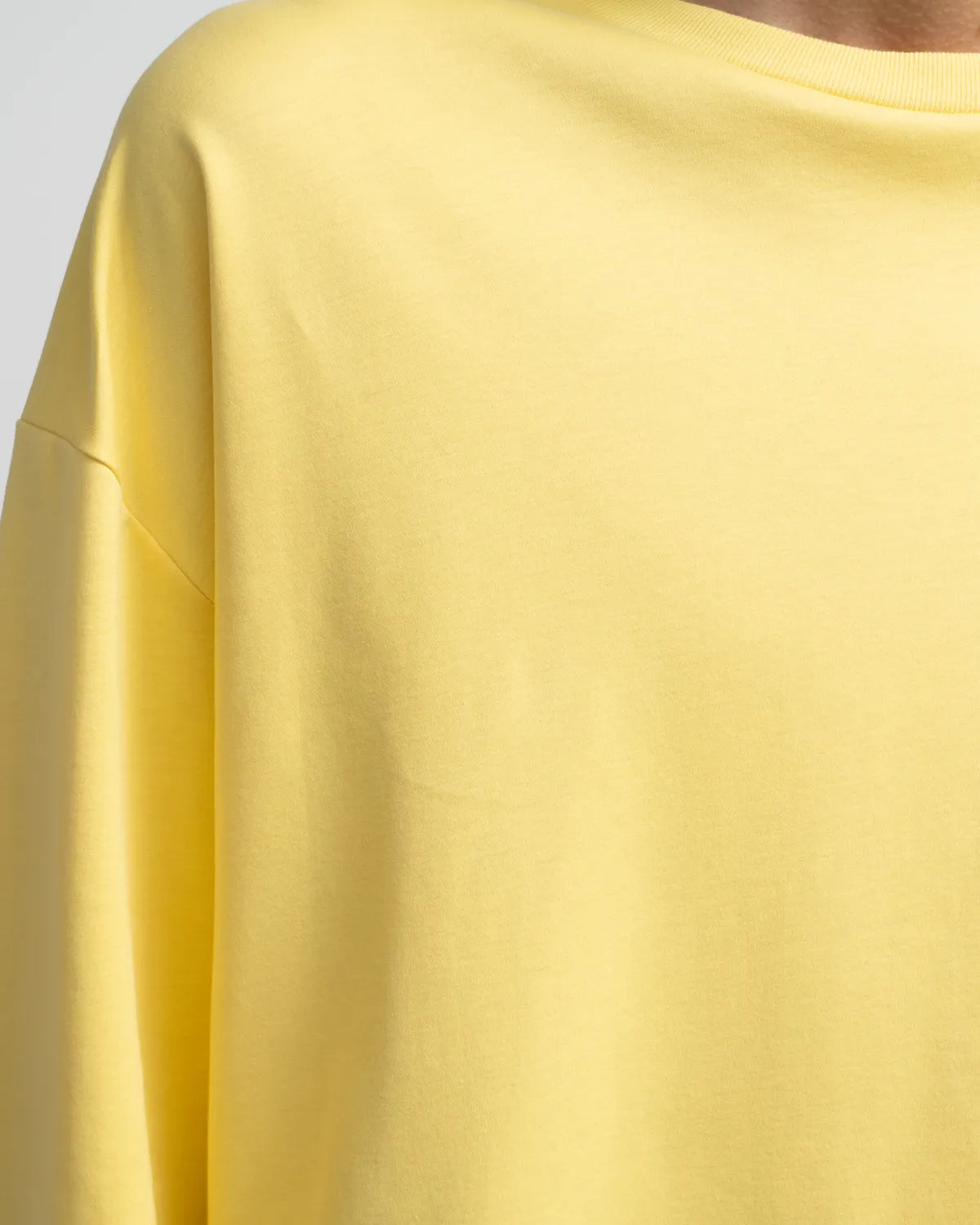 Graphpaper / Brushed Mockrody Crew Neck L/S Tee (GM253-70423)