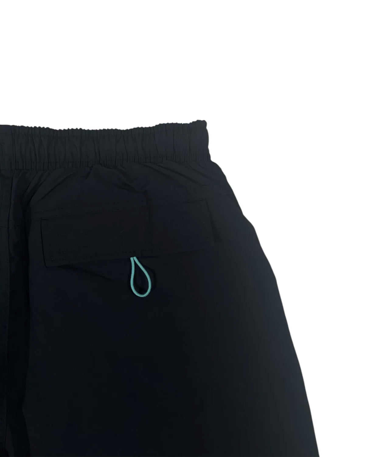 DESCENDANT / DBS NYLON BEACH SHORTS (261TQDS-PTM03)