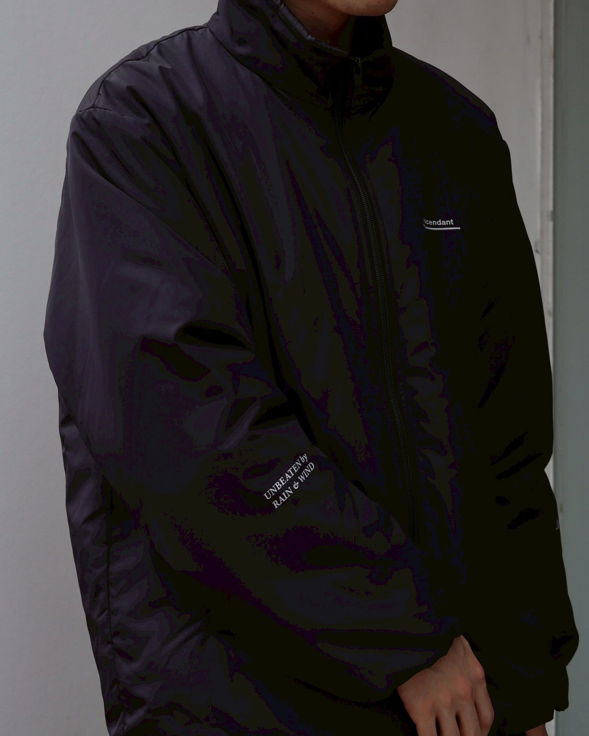 DESCENDANT / LOAD PADDING JACKET (252CPDS-JKM01)