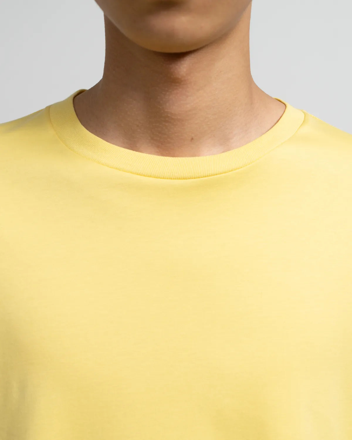Graphpaper / Brushed Mockrody Crew Neck L/S Tee (GM253-70423)