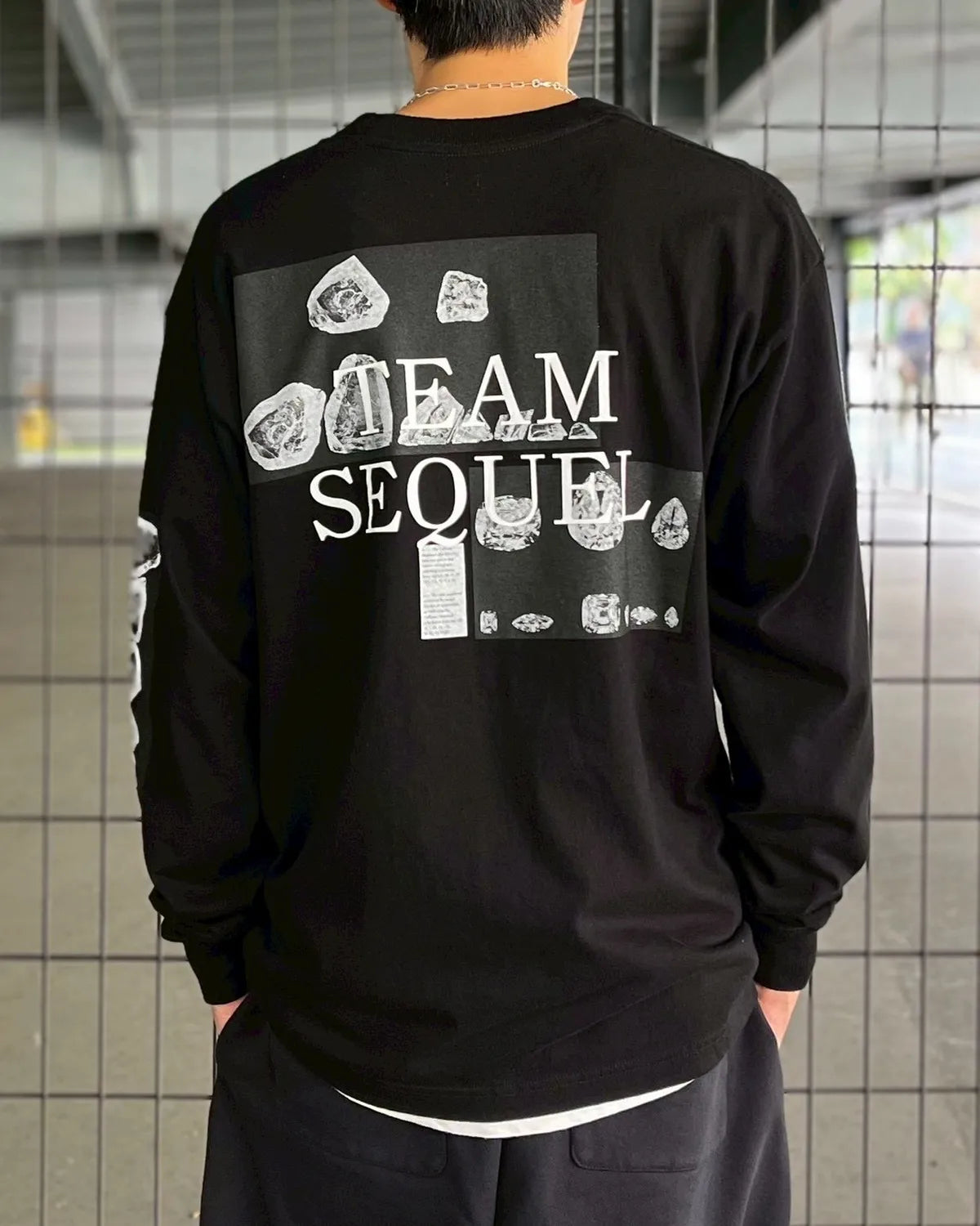 SEQUEL / LONG SLEEVE T-SHIRT (SQ-25SS-LT-02)