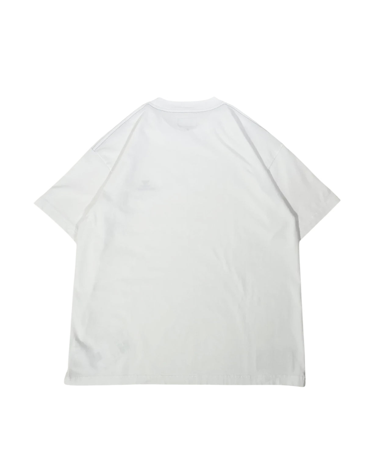 DESCENDANT / FLUKE UP ORGANIC COTTON SS (261ATDS-CSM26)