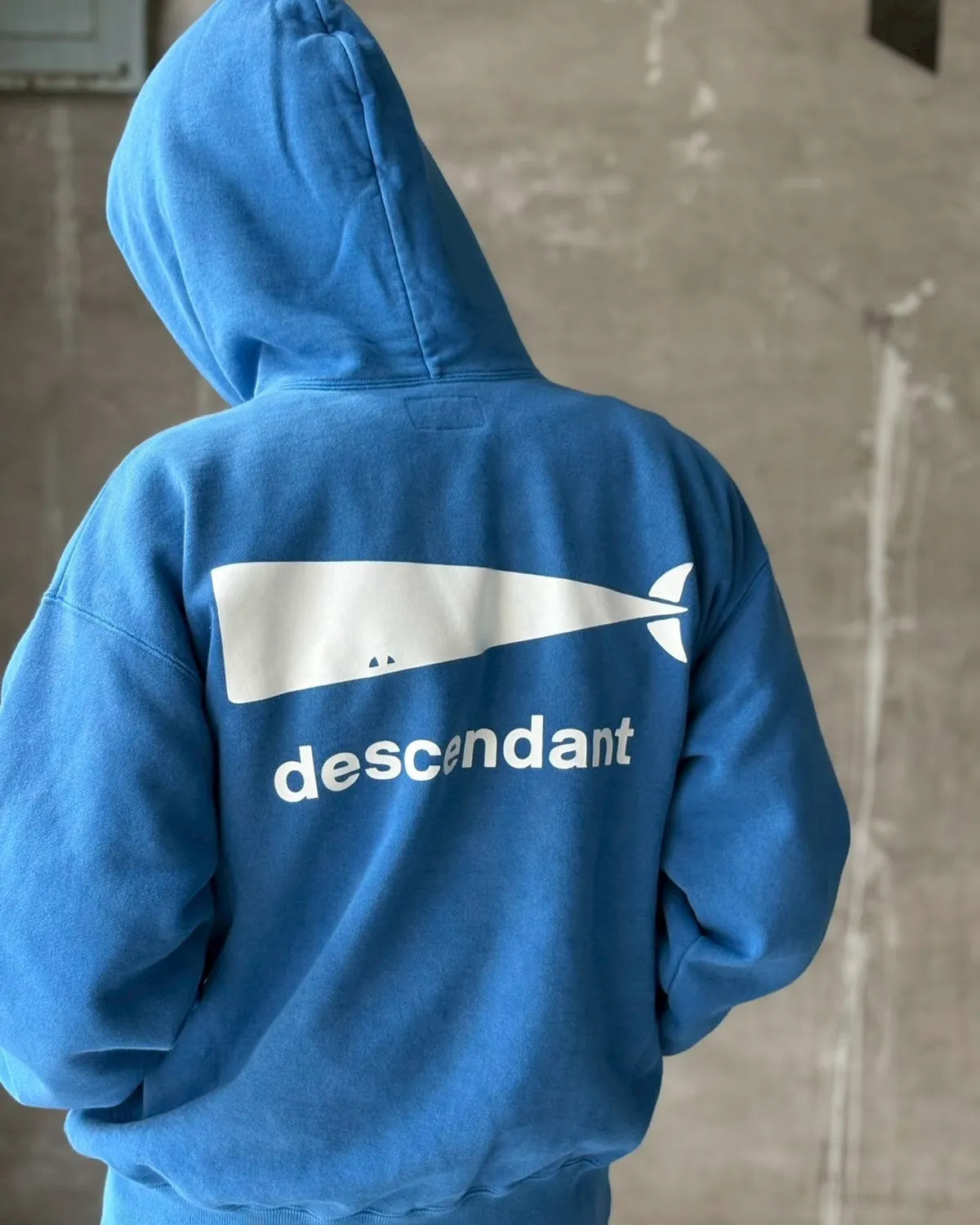 DESCENDANT / CACHALOT HOODY PIGMENT DYE (252ATDS-CSM02)