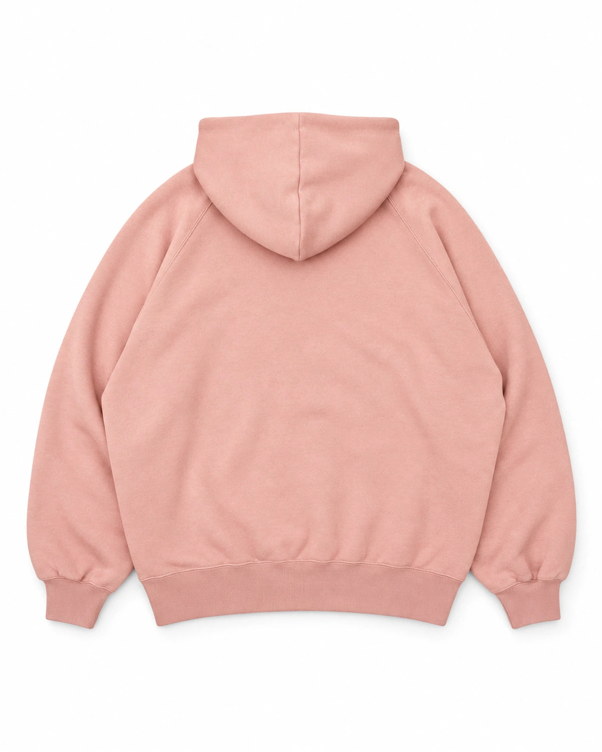 DESCENDANT / FLUKE UP HOODY (262ATDS-CSM03)