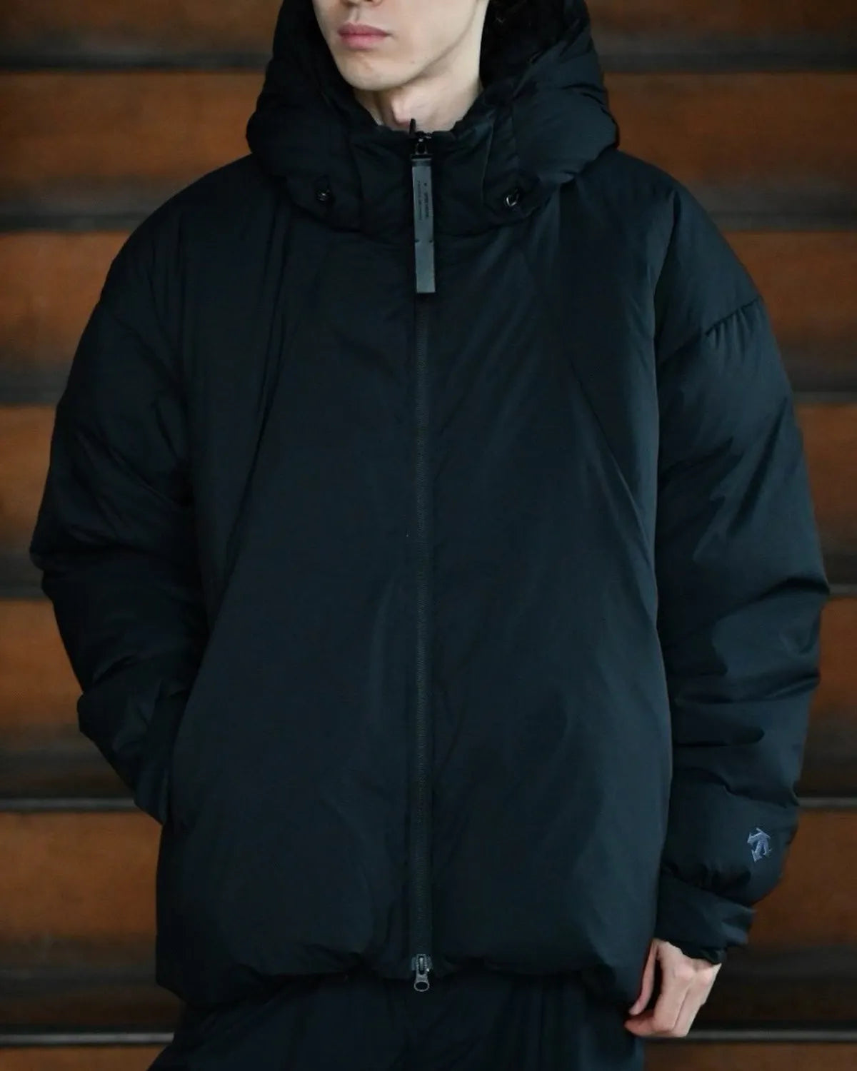 N.HOOLYWOOD × DESCENTE ALLTERRAIN / DOWN JACKT (D06FDJ01MB-pieces)