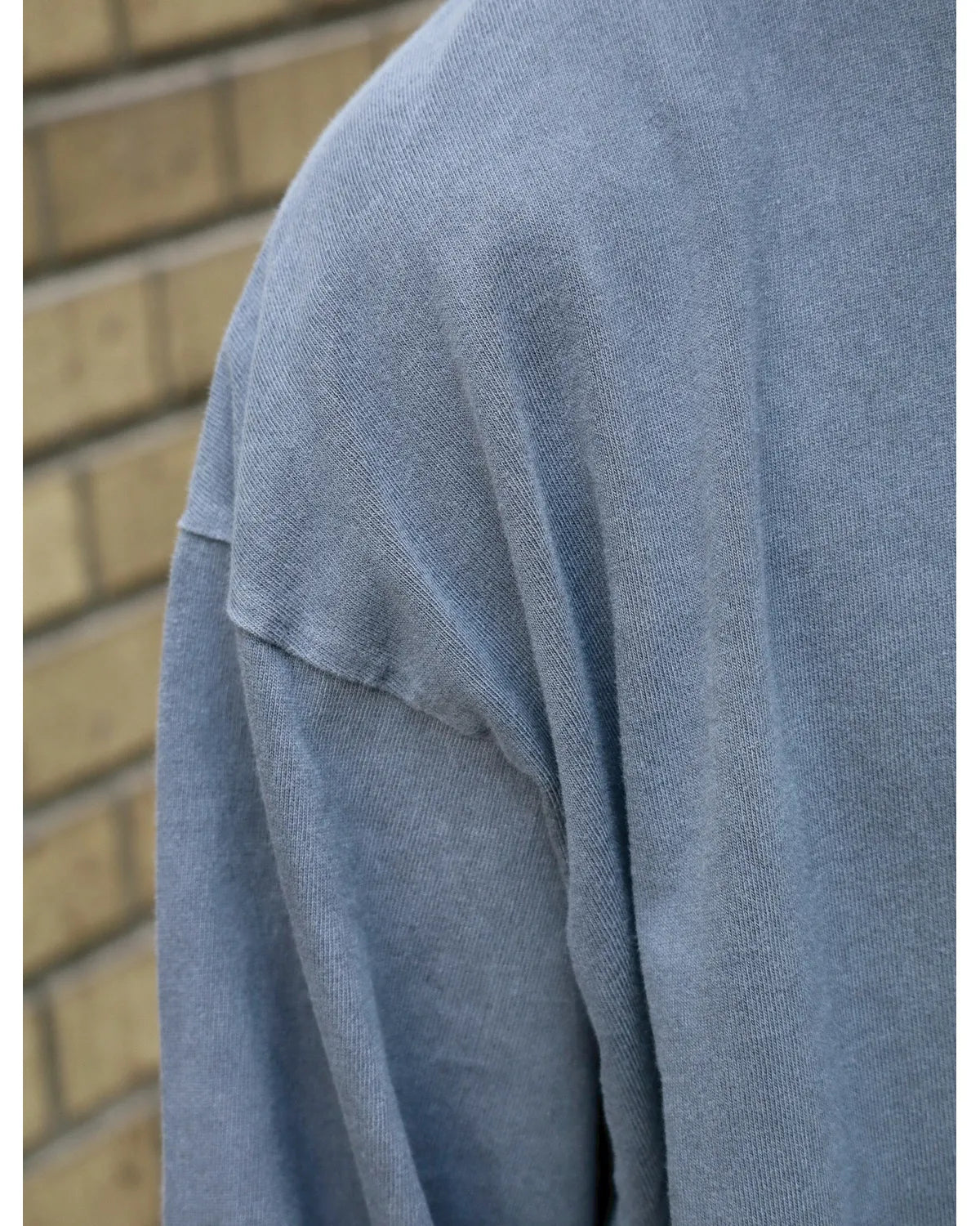 DESCENDANT / CETUS ORGANIC COTTON LS PIGMENT DYE (252ATDS-CSM17)