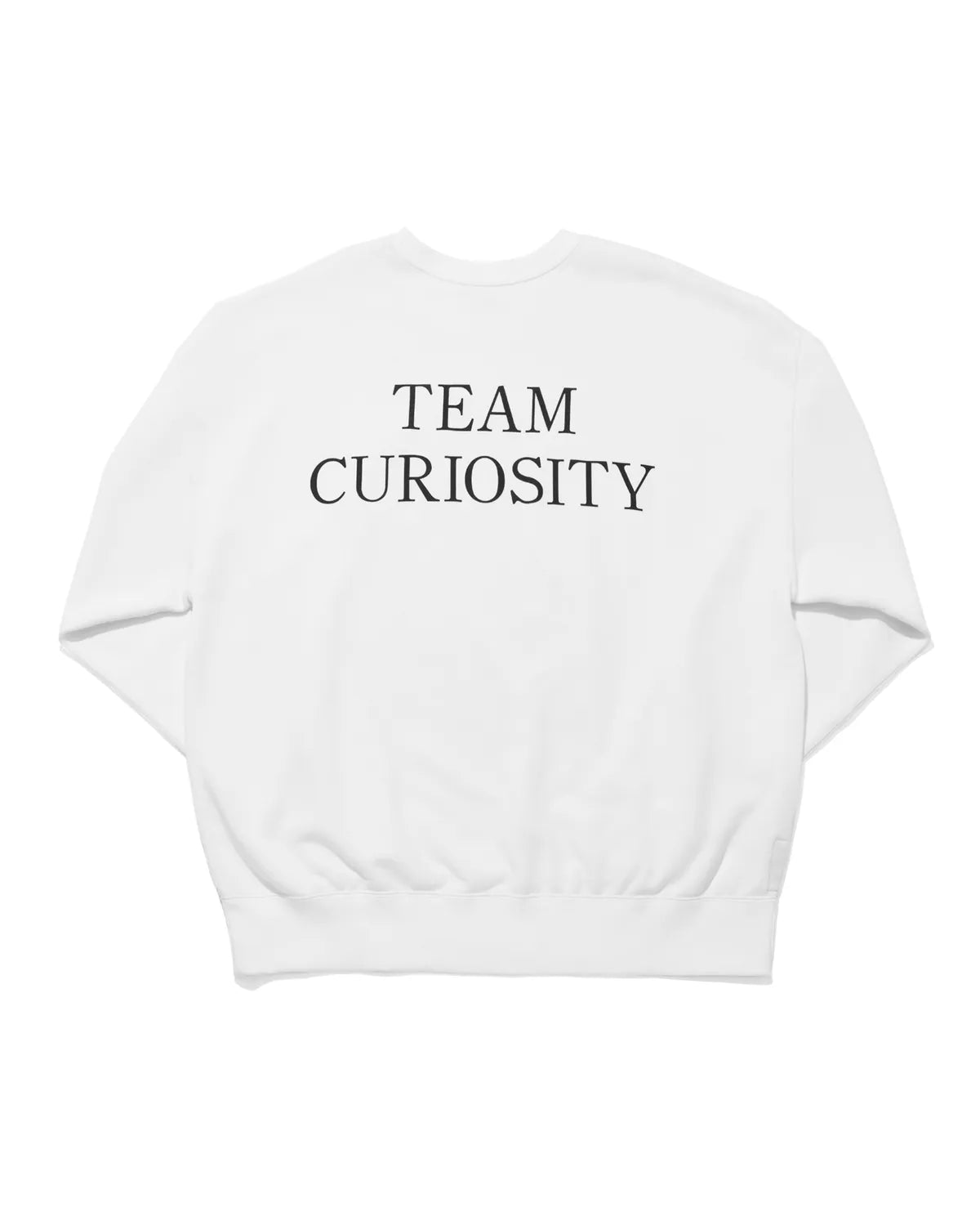 SEQUEL /SEQUEL×SANTA CRUZ CREW NECK SWEAT (SQ-25AW-SCCS-01)