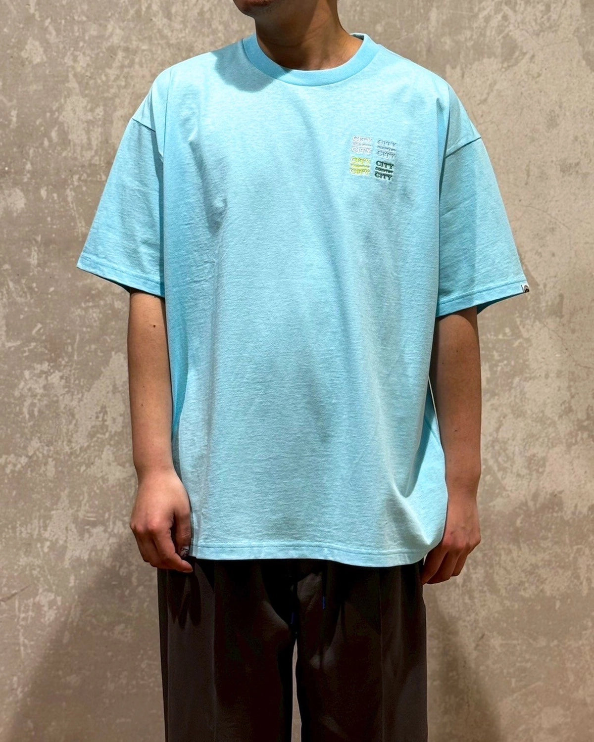 CITY COUNTRY CITY / EMBROID ERED LOGO COTTON S/S T-SHIRT_CCCC (CCC-251T010)