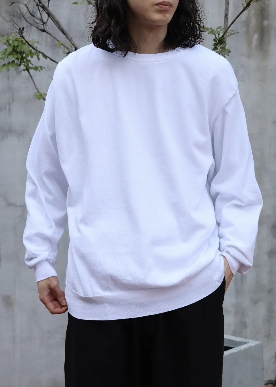 COMOLI / コットン クルーネックニット (D01-06011)