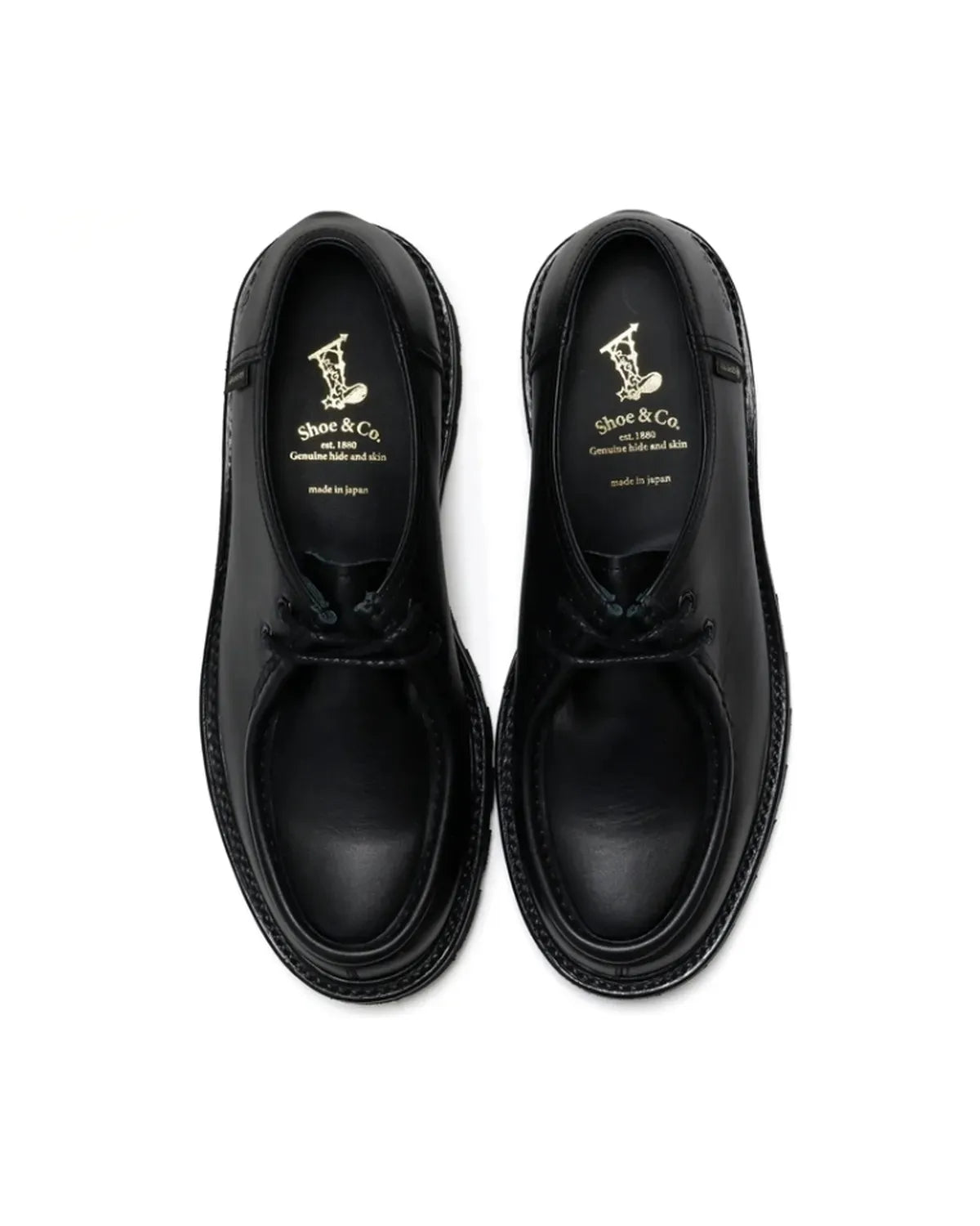REGAL Shoe & Co. / Tyrolean GORE-TEX (839SDF)