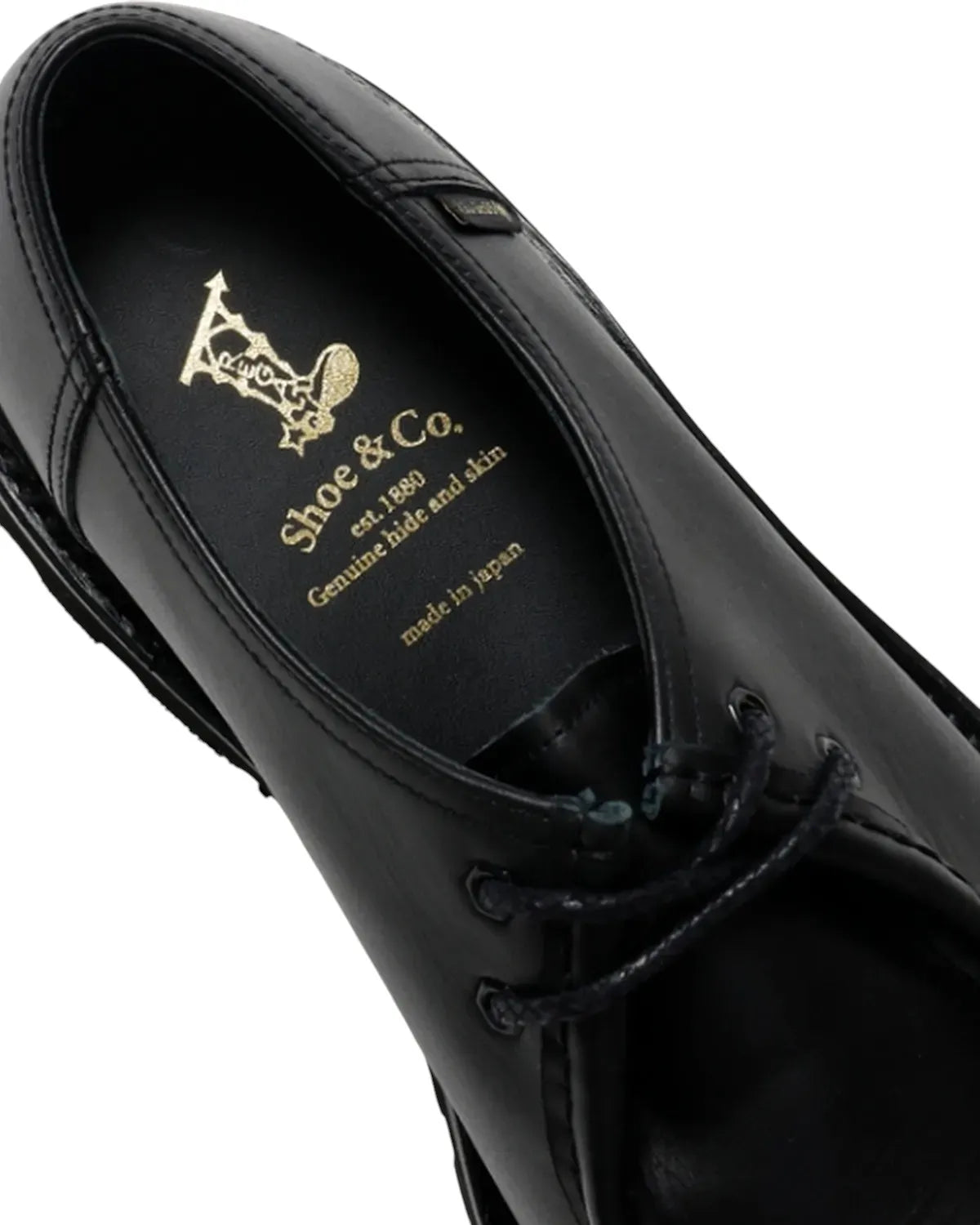 REGAL Shoe & Co. / Tyrolean GORE-TEX (839SDF)
