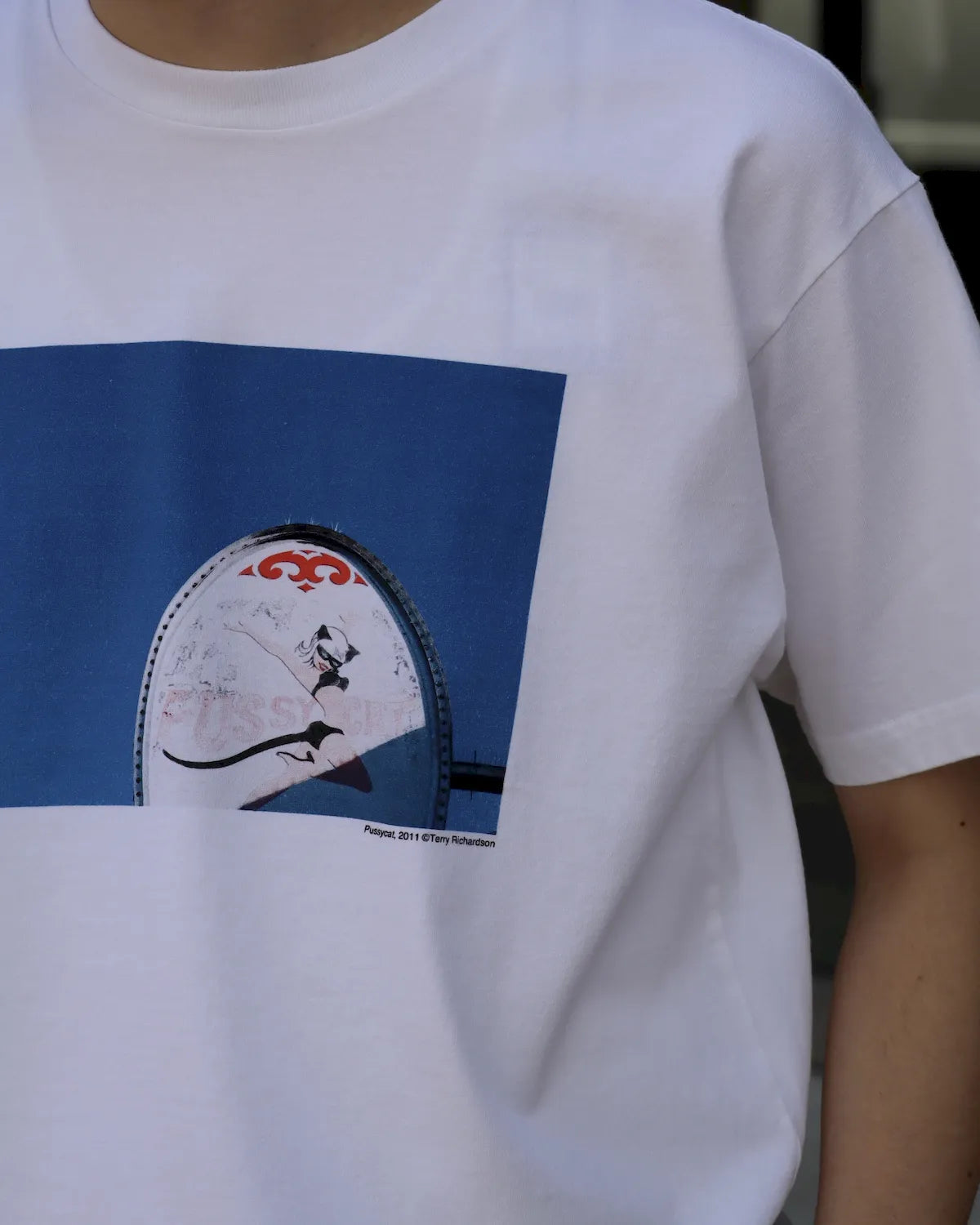 MINEDENIM × Terry Richardson × STEI-lo / "In-n-Out" Tee (26MND-STL004)