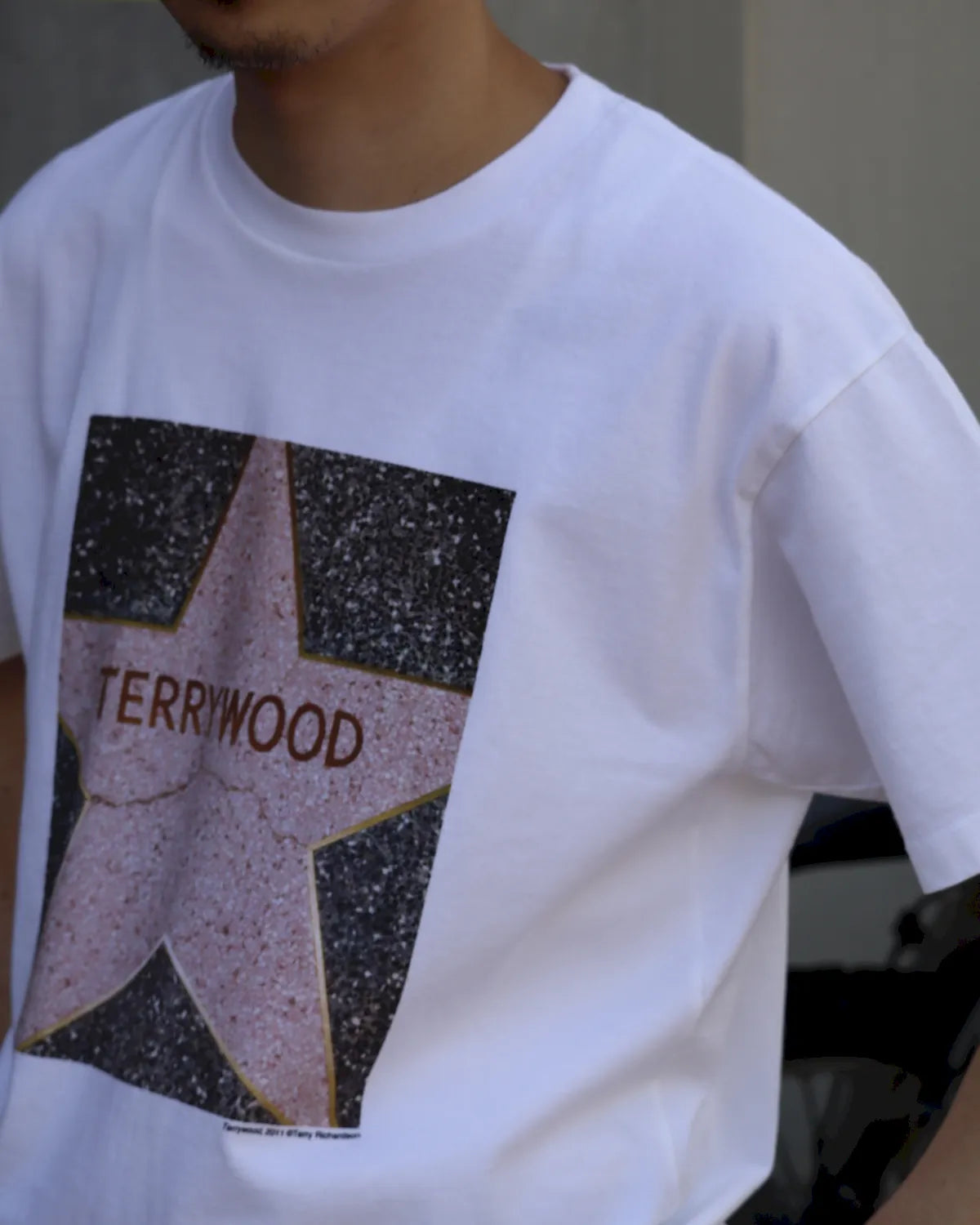 MINEDENIM × Terry Richardson × STEI-lo / "TERRYWOOD" Tee (26MND-STL002)