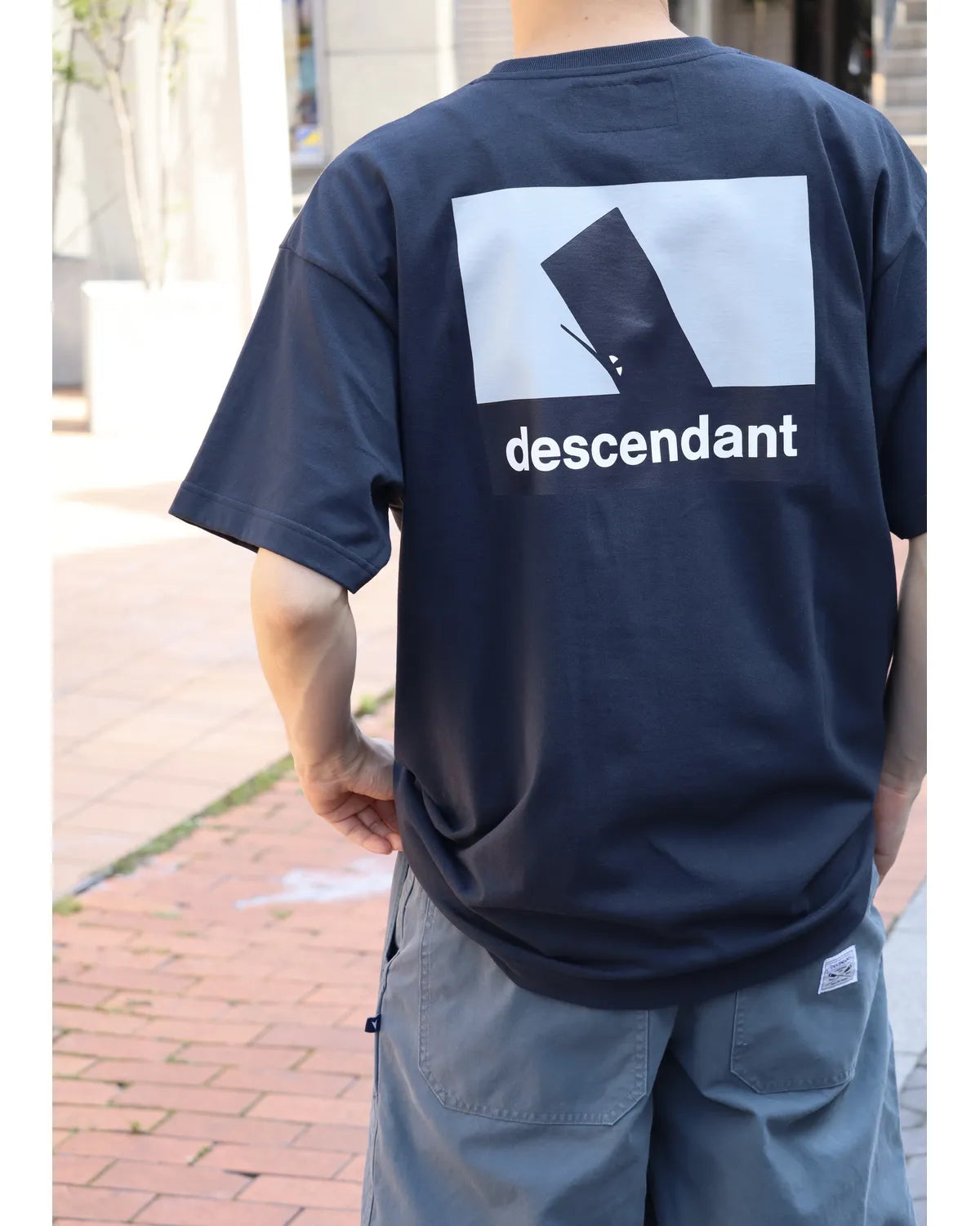 DESCENDANT / SPYHOP SS (261ATDS-STM03S)