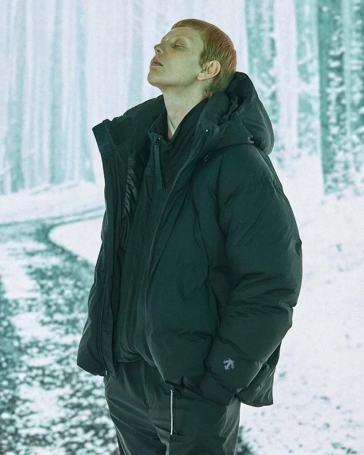 N.HOOLYWOOD × DESCENTE ALLTERRAIN / DOWN JACKT (D06FDJ01MB-pieces)