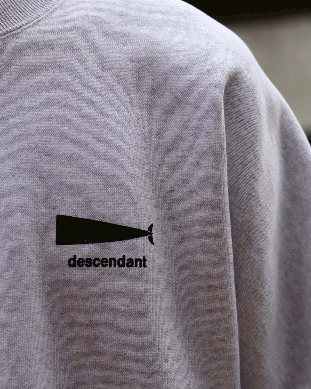 DESCENDANT / CACHALOT CREW NECK (252ATDS-CSM14)