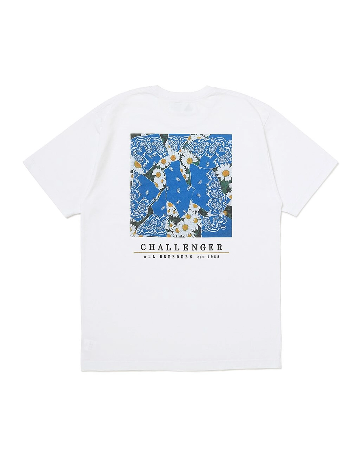 CHALLENGER の DAISY TEE (CLG-TS 026-004)