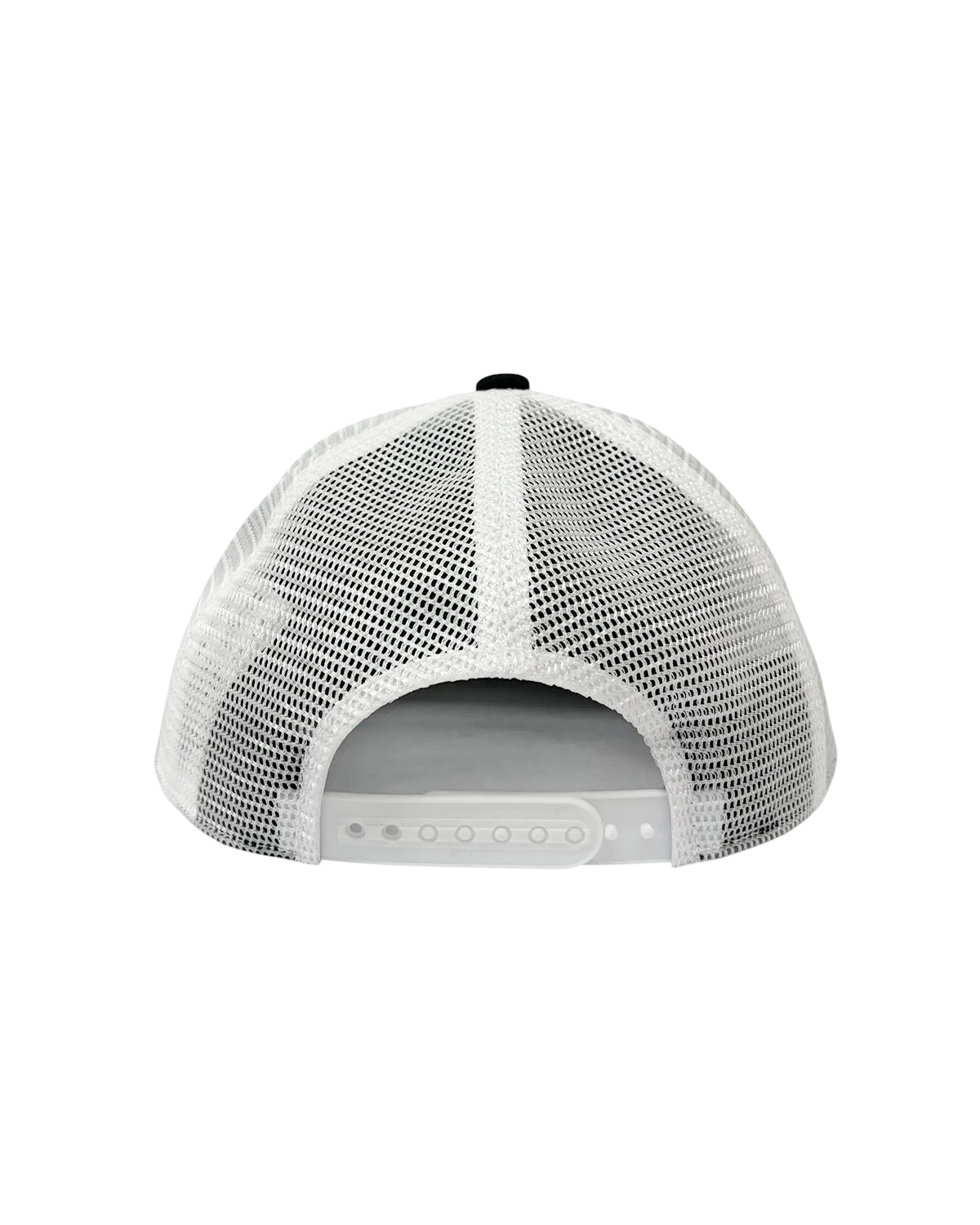 DESCENDANT / CACHALOT TRUCKER (261NSDS-HT06)