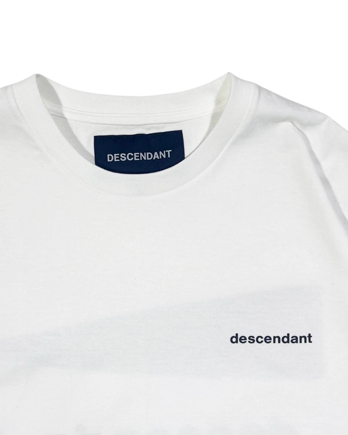 DESCENDANT / CACHALOT SS (251ATDS-STM01S)