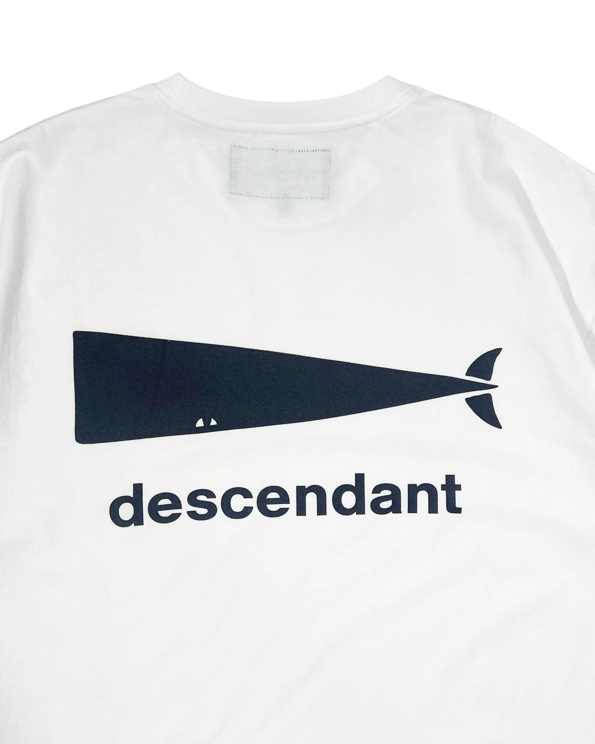 DESCENDANT / CACHALOT SS (251ATDS-STM01S)