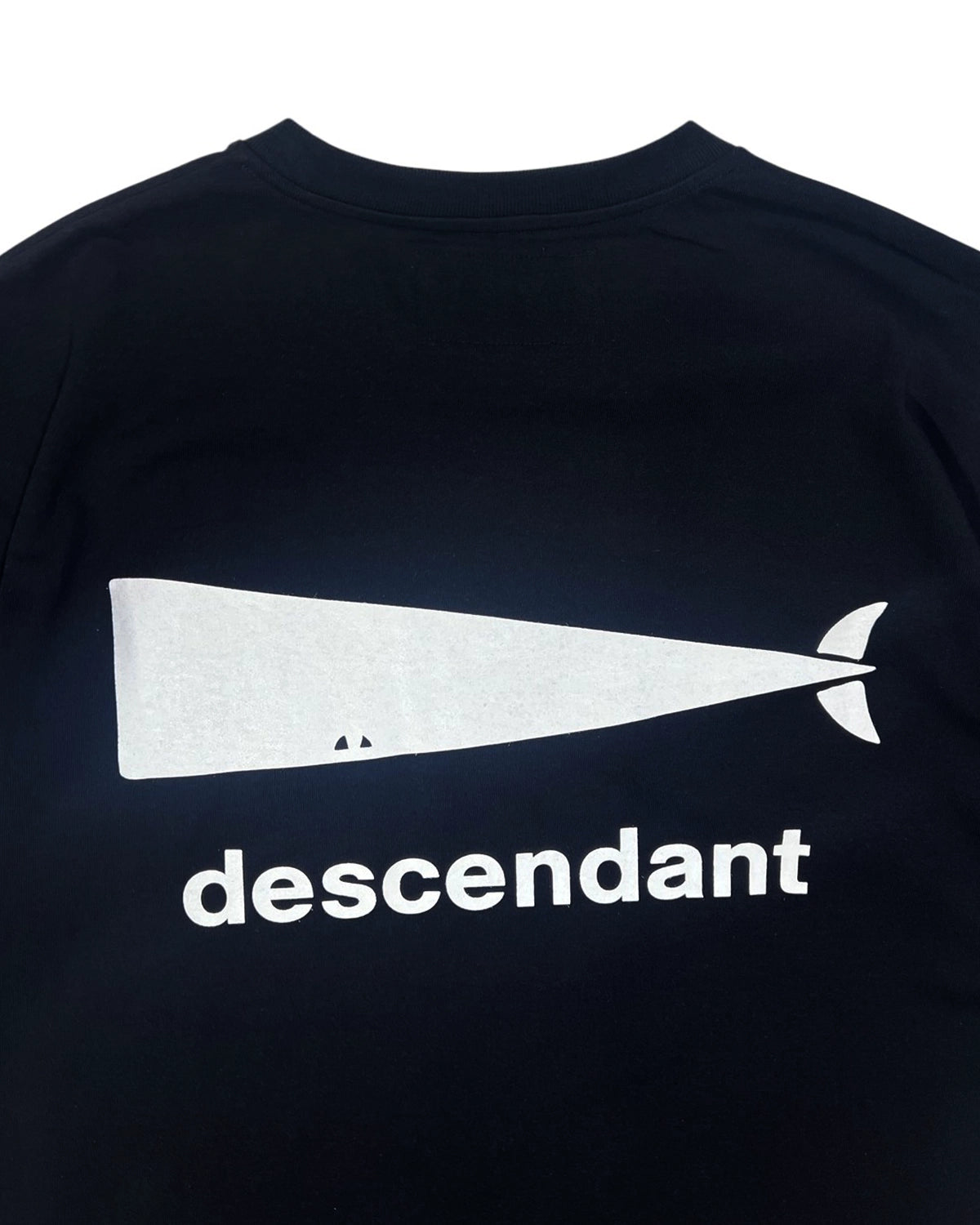DESCENDANT / CACHALOT SS (251ATDS-STM01S)