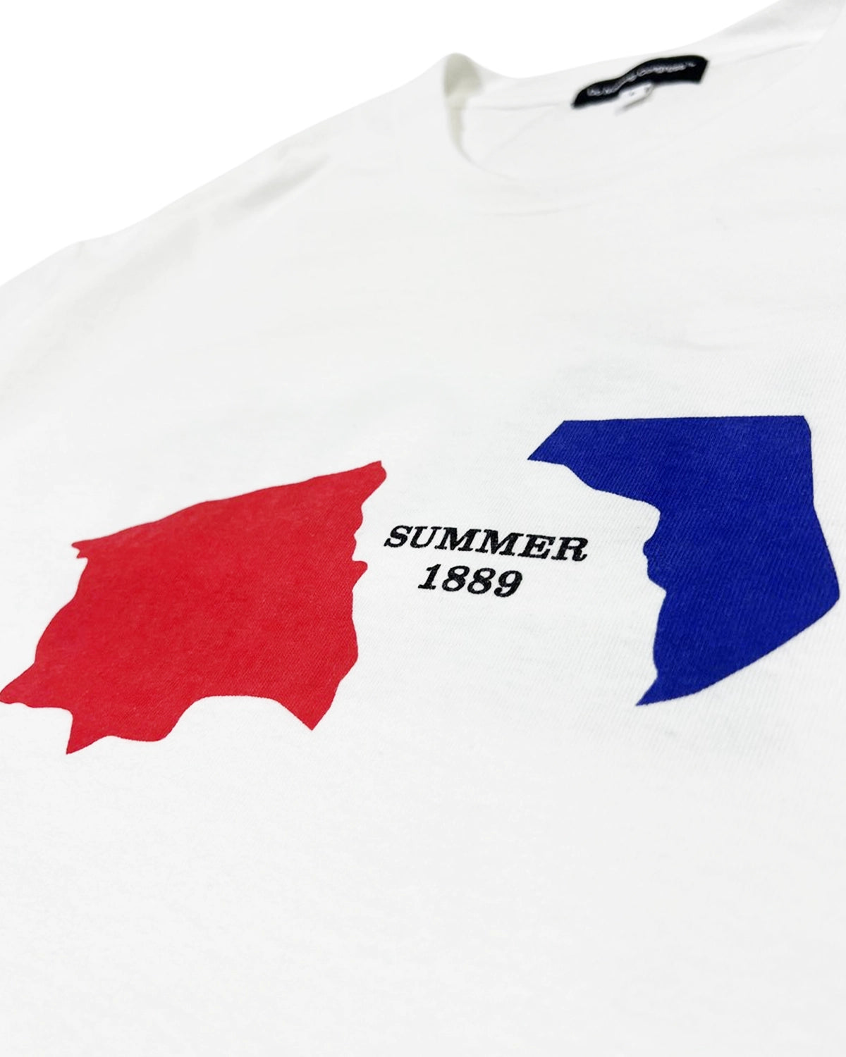 Do Nothing Congress / SUMMER 1889