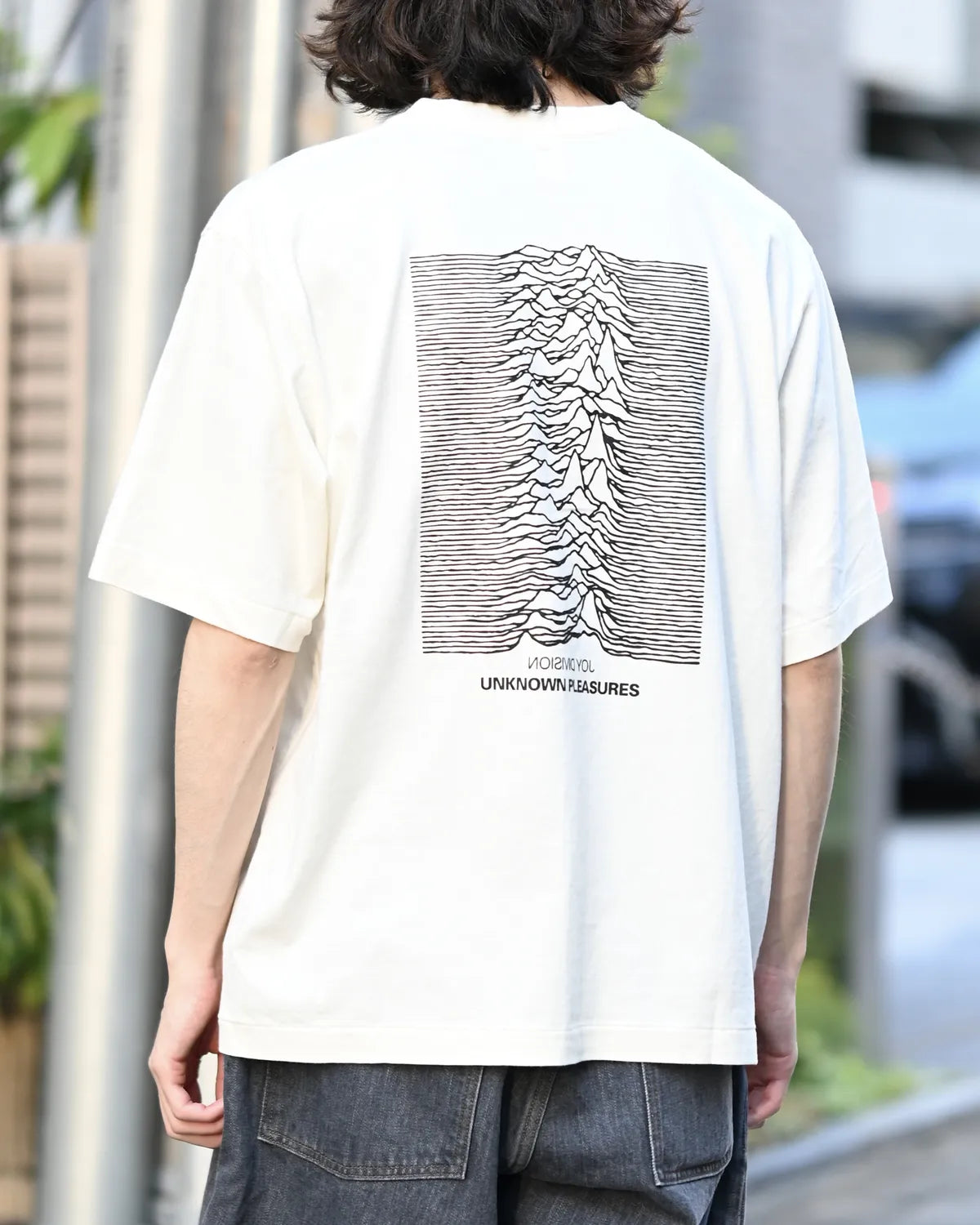 blurhmsROOTSTOCK / JD UNKNOWN PLEASURES Invert STANDARD (bROOTS25S33S26JD001)