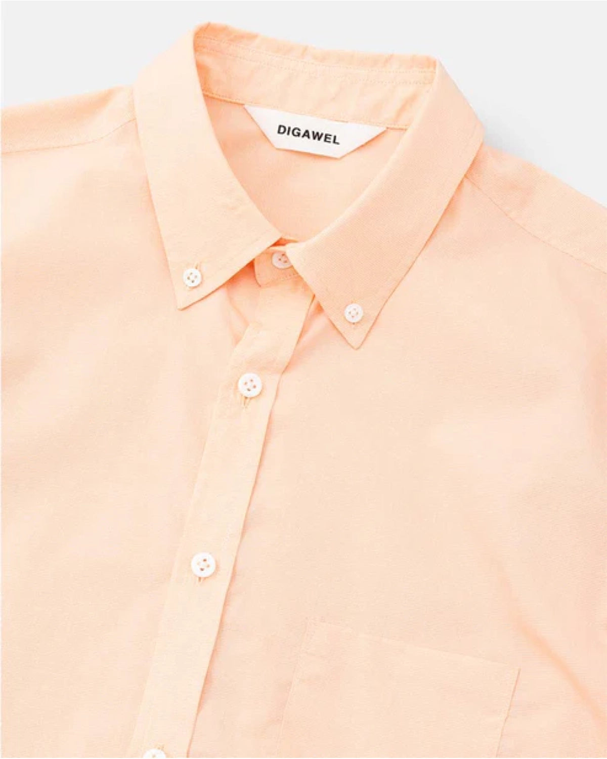 DIGAWEL / Buttondown shirt (DWAA036)