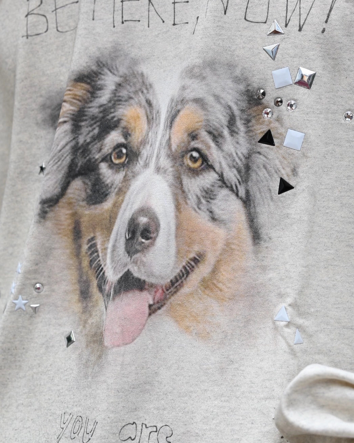 Maison MIHARA YASUHIRO / Dog Printed Embellished Distressed Long Sleeve T-shirt (J15LT751)