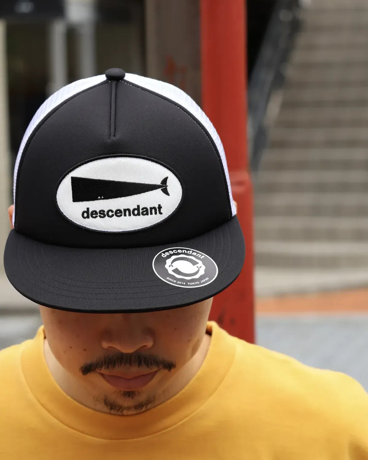 DESCENDANT / CACHALOT TRUCKER (261NSDS-HT06)