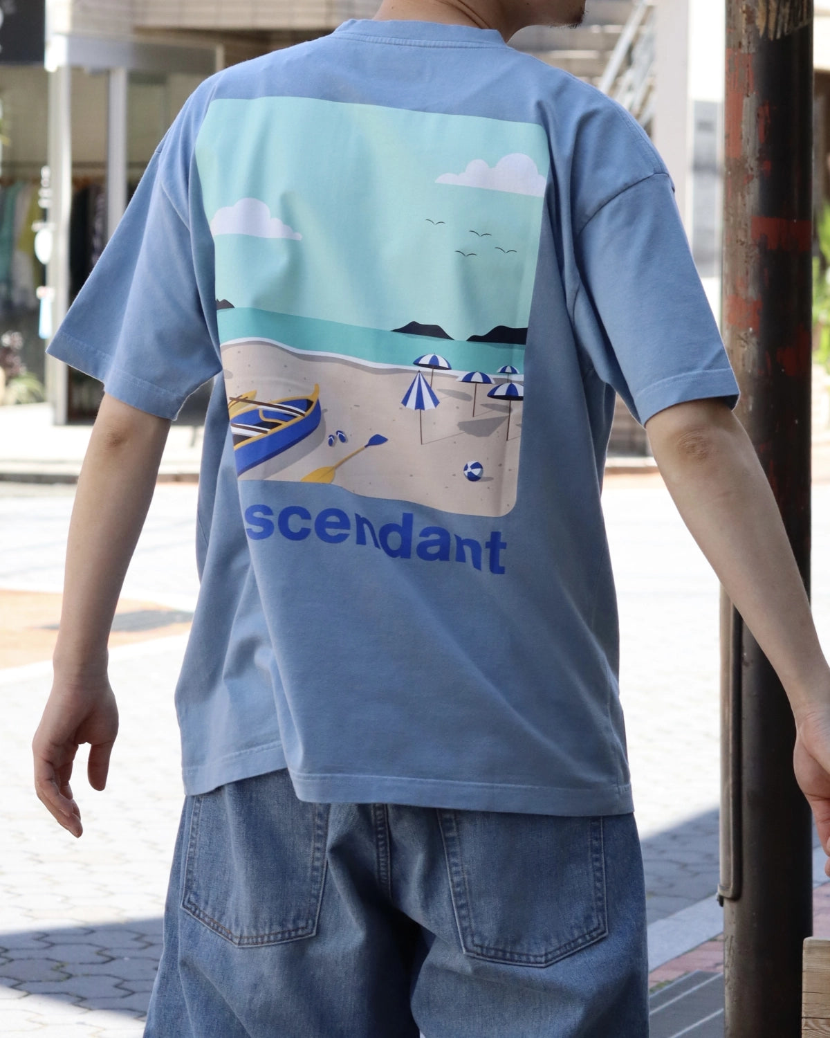 DESCENDANT / NO RECEPTION SS (261ATDS-CSM30)