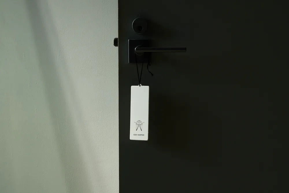 Graphpaper × HARPER / GAE HARPER (HPR02_GAEHARPER)