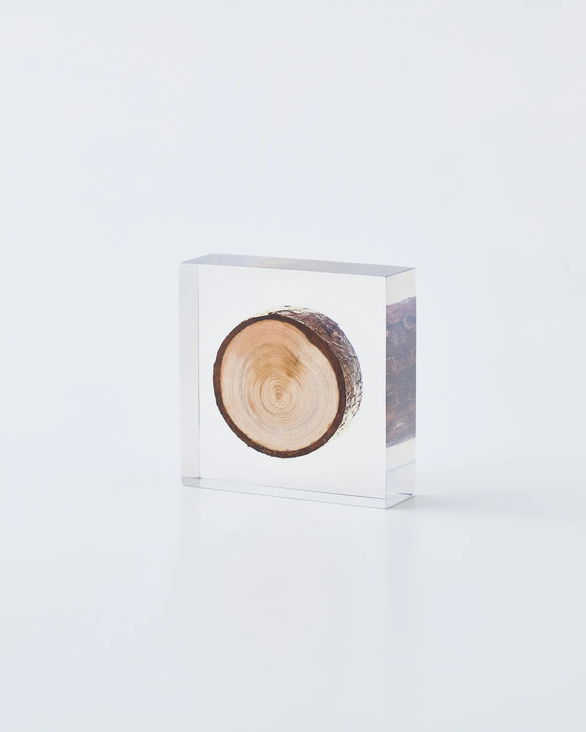 Graphpaper × HARPER の Enclosed branch object diffuser (HPR03_D002)