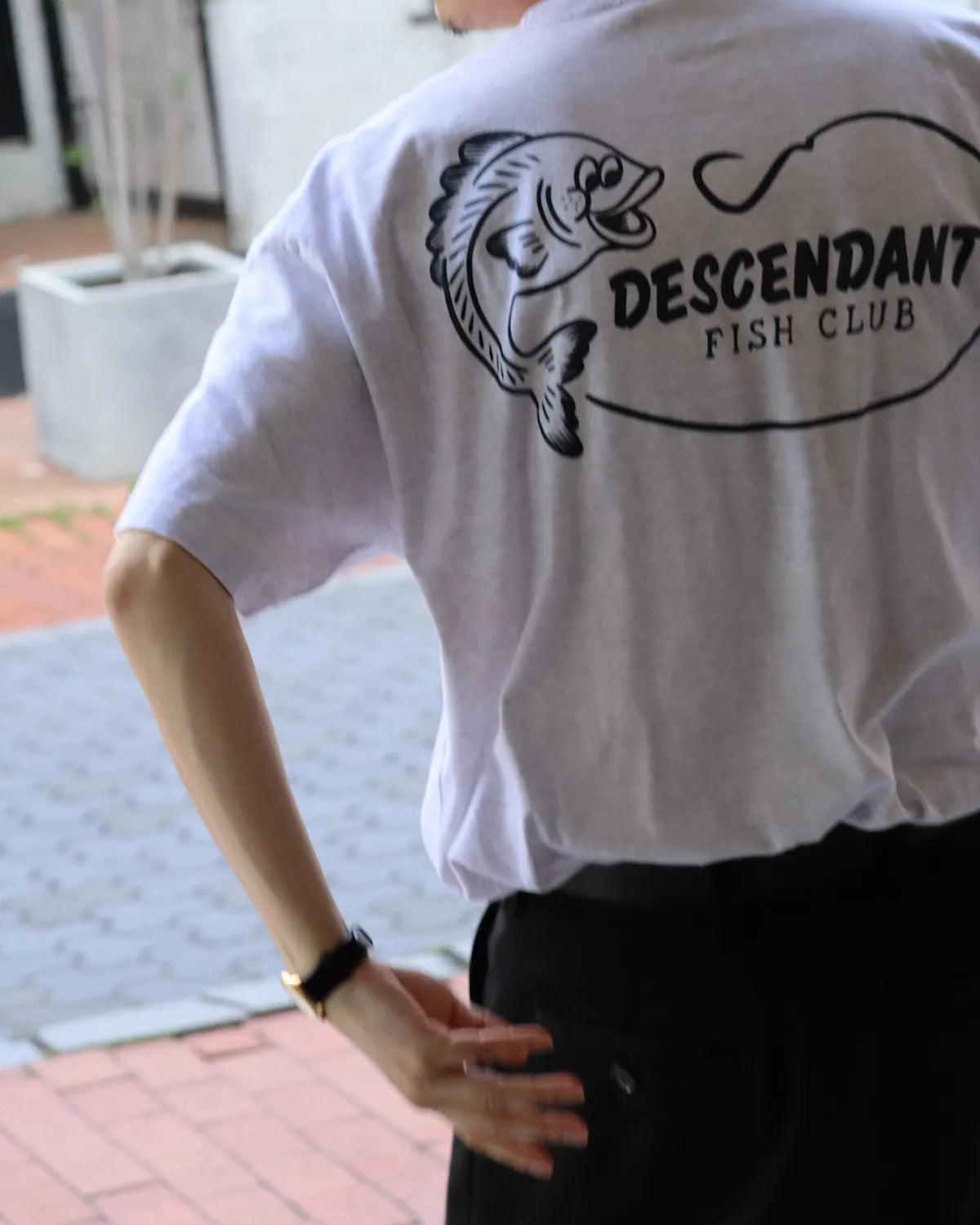 DESCENDANT / BARBLESS SS (261ATDS-CSM29)