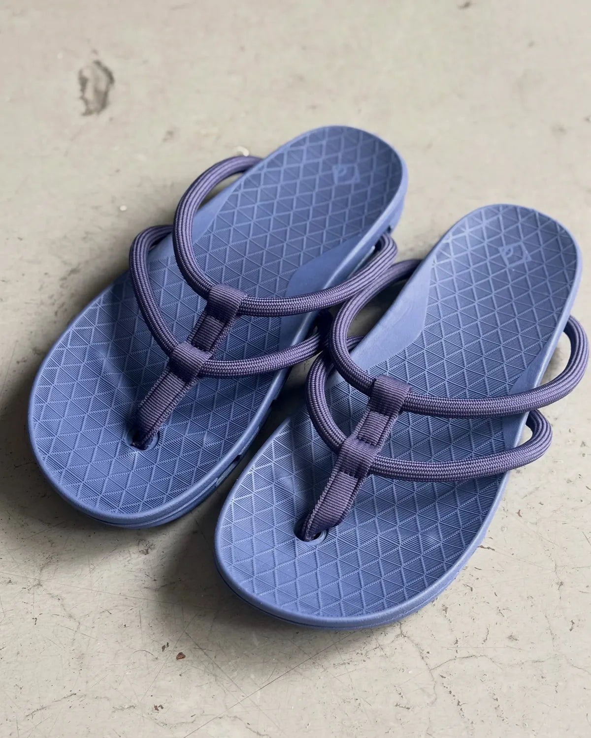 NONNATIVE × rig / BAHARINI (NN-F4854)
