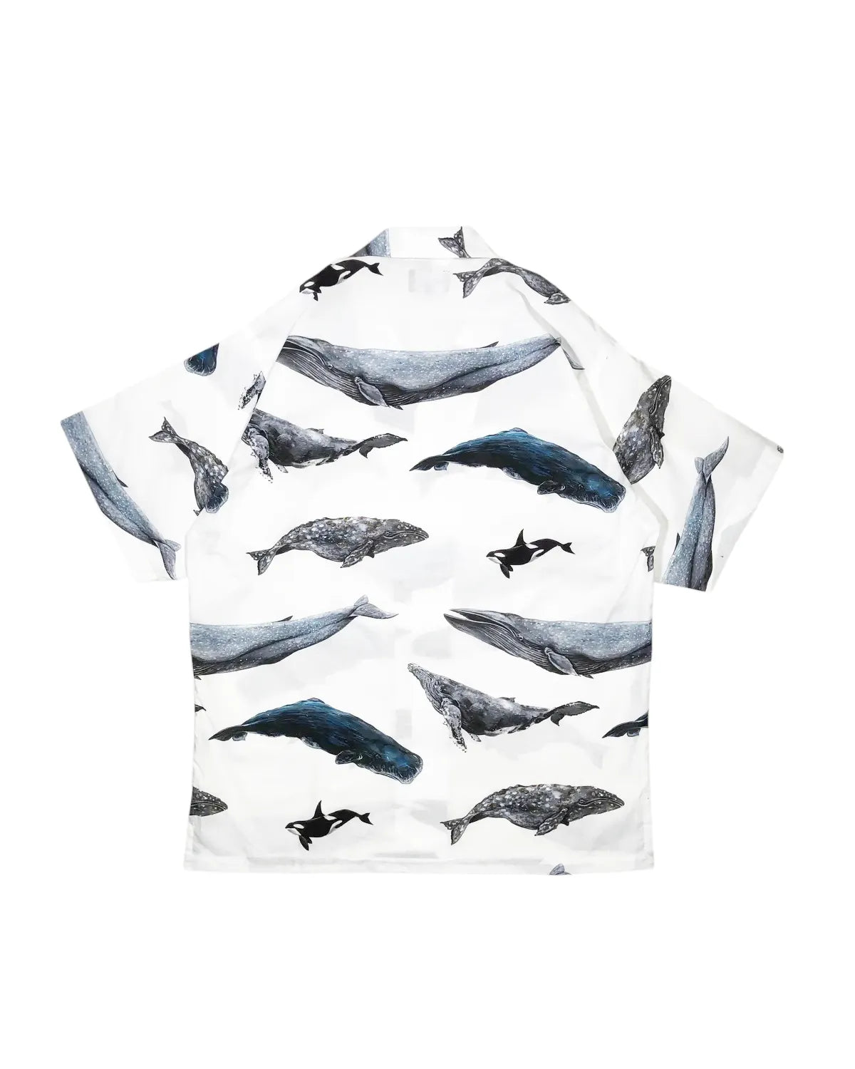 DESCENDANT / SEAFARERS TEXTILE SS SHIRT (251TQDS-SHM07)