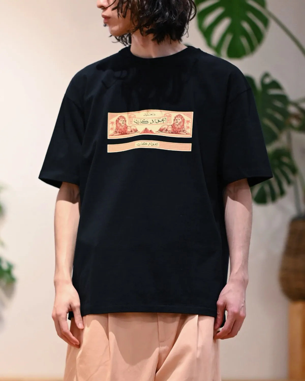 WACKO MARIA × THE PHOENICIAN SCHEME / WASHED HEAVY WEIGHT CREW NECK T-SHIRT -TYPE-2- (TPS-WM-WT02)