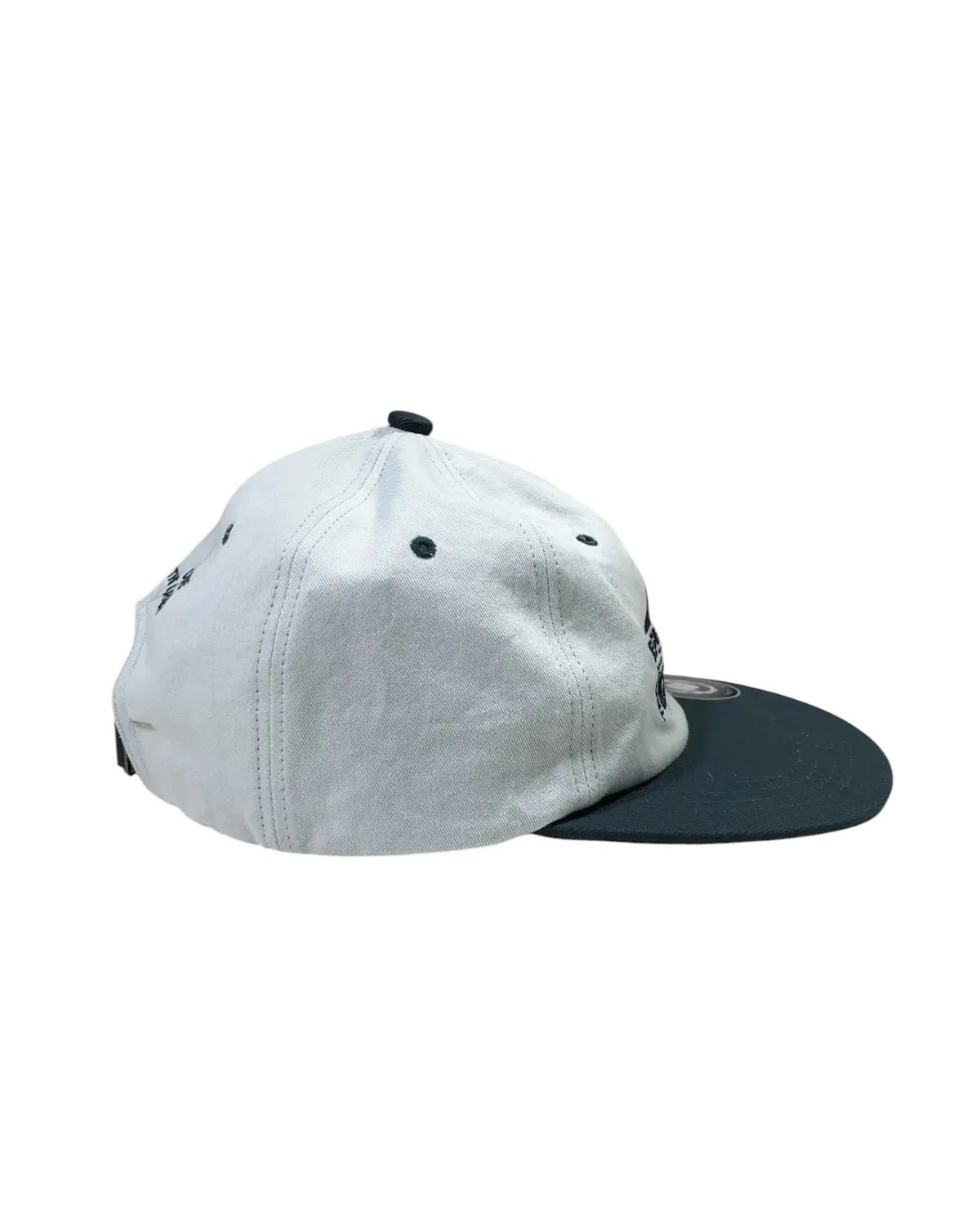 DESCENDANT / CETUS 6PANEL (261NSDS-HT03)