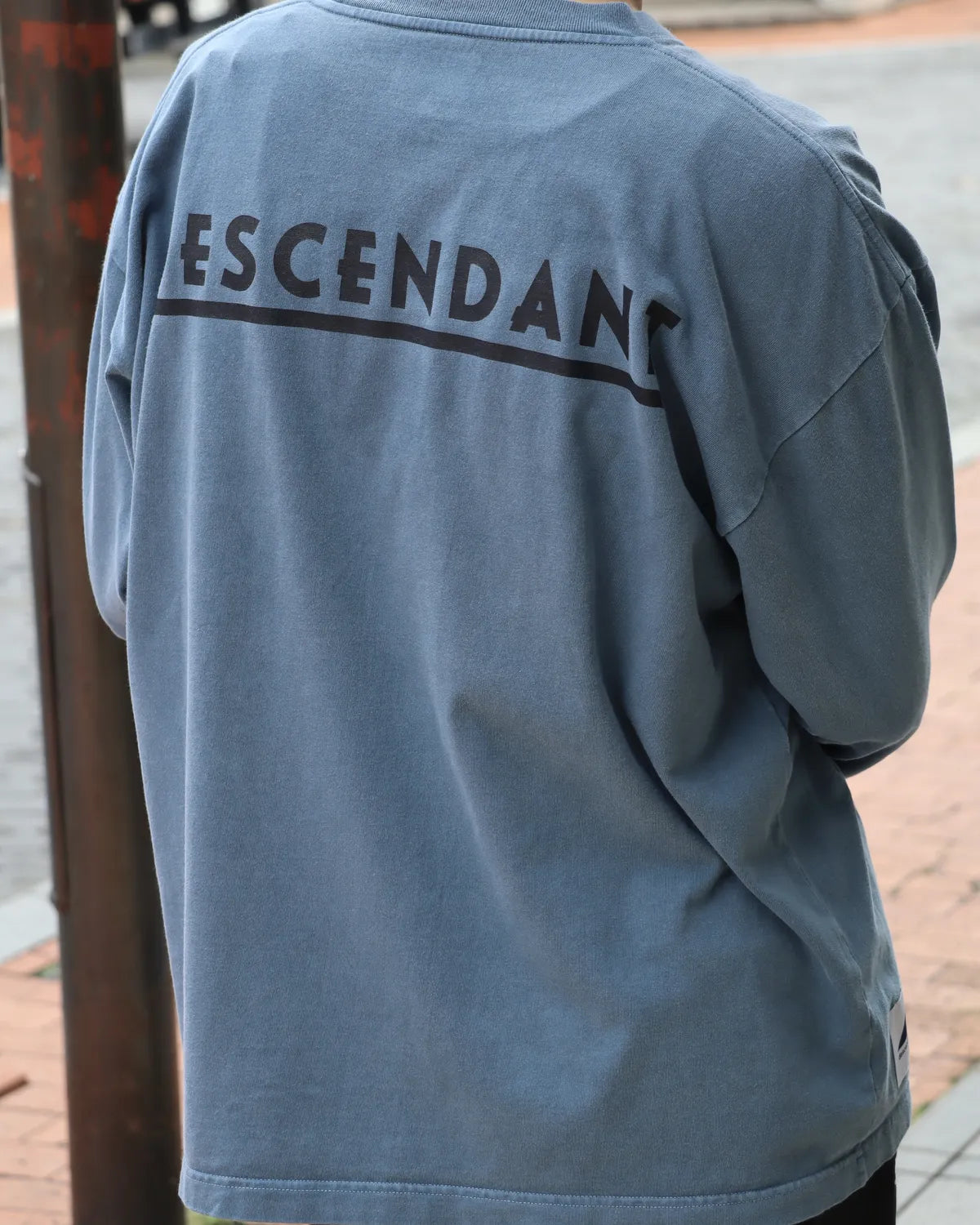 DESCENDANT / OTL ORGANIC COTTON LS PIGMENT DYE (262ATDS-CSM19)