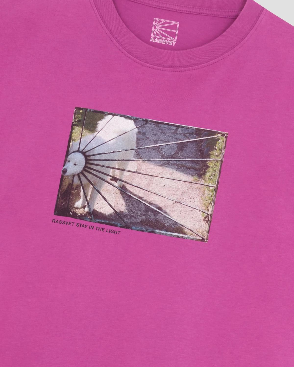 RASSVET / DOG LOGO T-SHIRT (PACC16T002)