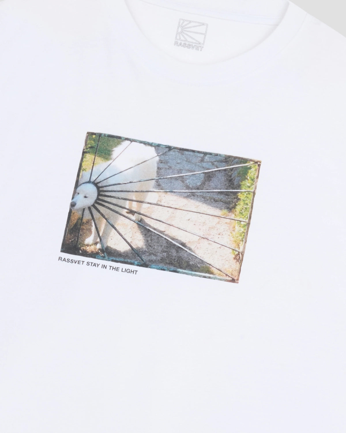 RASSVET / DOG LOGO T-SHIRT (PACC16T002)