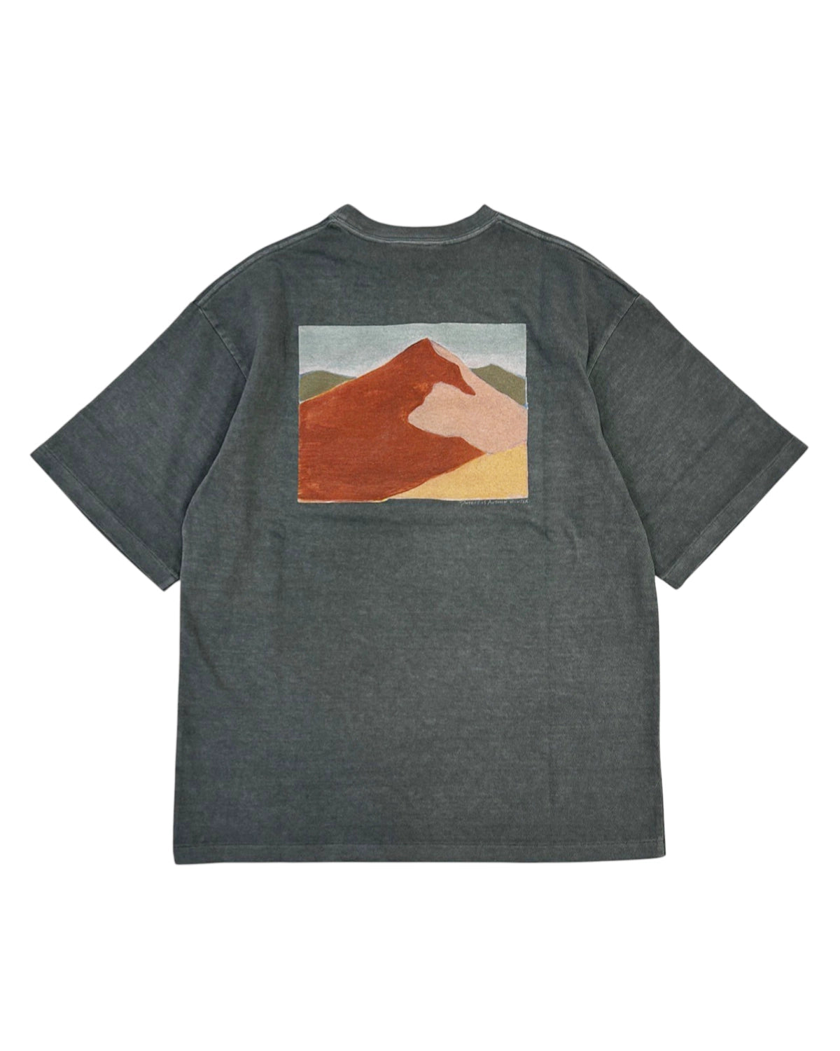 PHEENY / “MOUNTAIN” S/S (PA25-CS15)