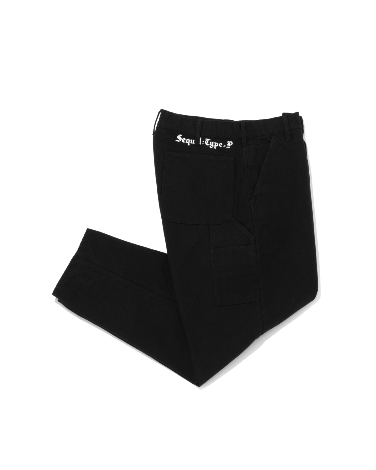 SEQUEL / PAINTER PANTS (TYPE-P)(SQ-25AW-PT-07)