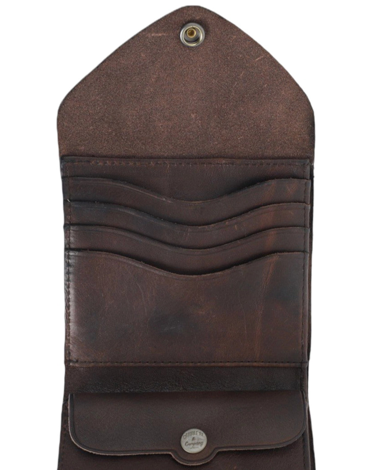 RRL / CONCHA ENVEL (MARRSLG0G220028)
